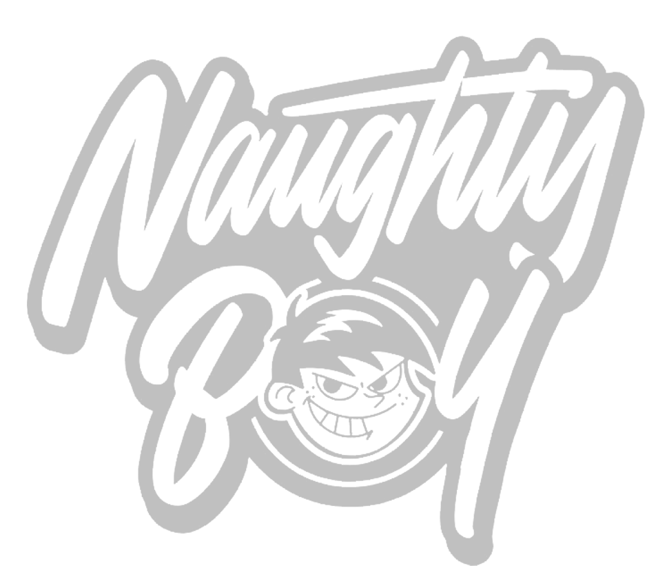 Naughtyboy