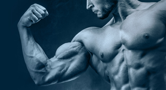 Creatine