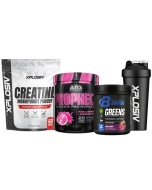 ANS Performance Prophecy Pre-Workout + FREE Gut, Gains & Brain Bundle